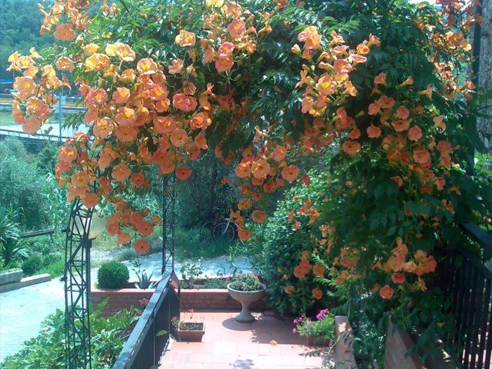 La Magione Otel Serravalle Pistoiese Dış mekan fotoğraf